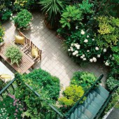 Gợi ý để có một vườn rau Nhật Bản tại nhà